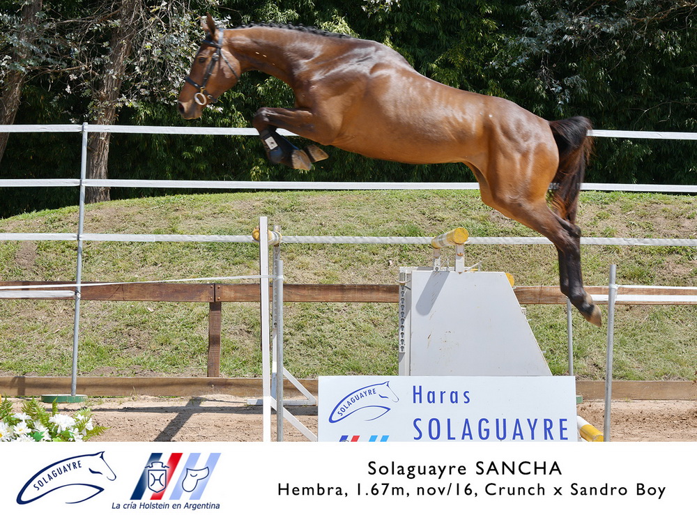 SOLAGUAYRE SANCHA